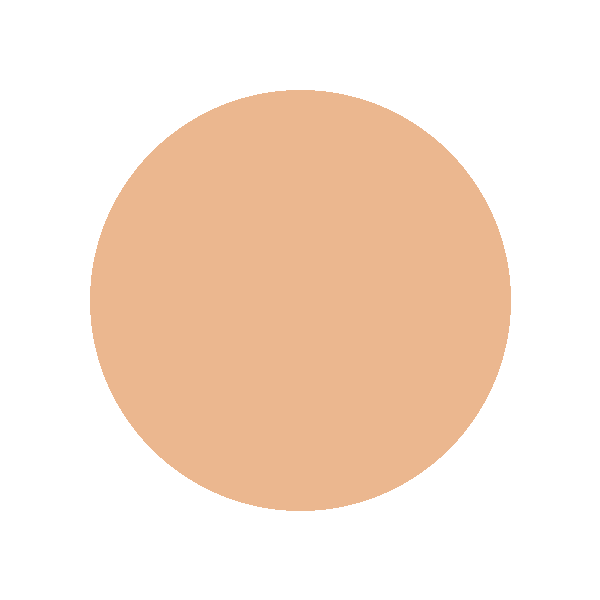 102 Sft Beige